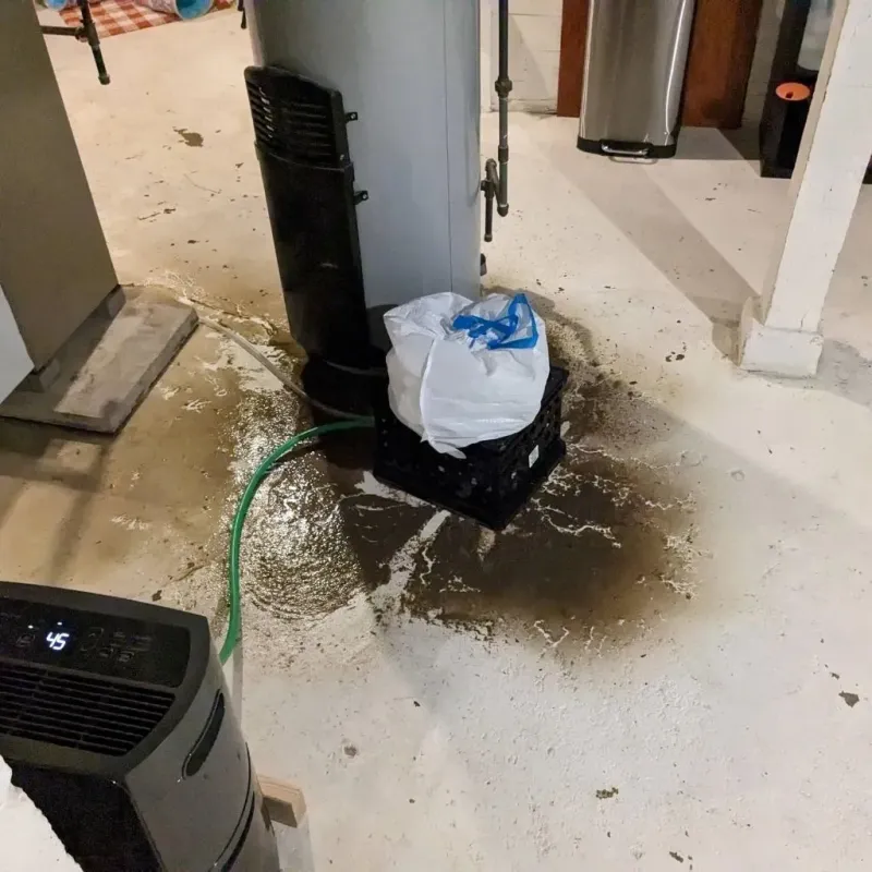 Sewage Backup Cleanup Service in Theresa, WI